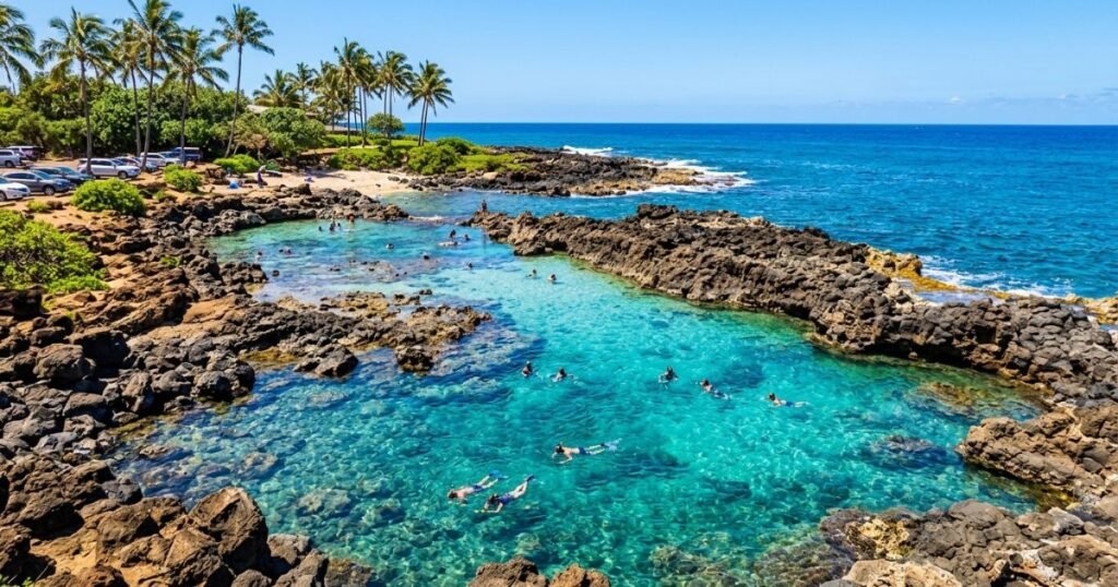 Shark Cove Oahu